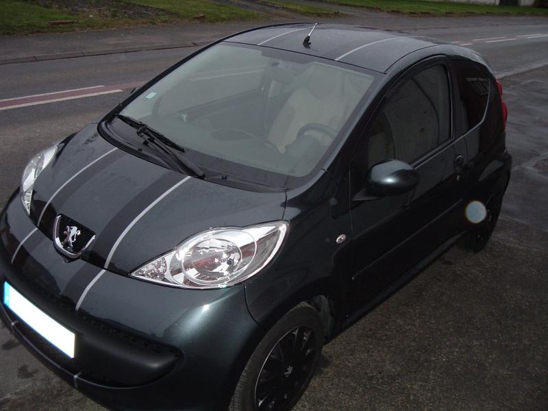 http://www.forum-peugeot.com/Forum/mesimages/14789/DSCF0739 vu haut1.JPG